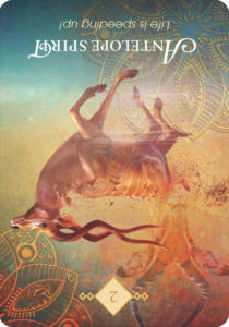 Read more about the article Antelope Spirit