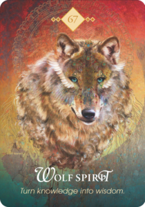 Read more about the article Wolf Spirit