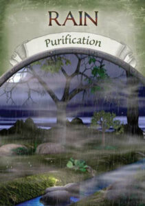 Read more about the article Rain: Purification